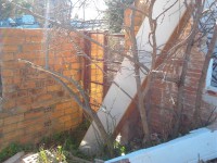 /album/la-bobila-de-viladecans/paret-de-la-entrtada-al-recinto-de-la-bobila-jpg/